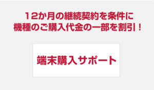 Terminal-purchase-support